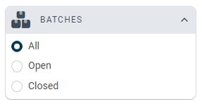batch filter