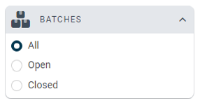batch filter